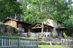 Alojamento Local em Couto de Esteves